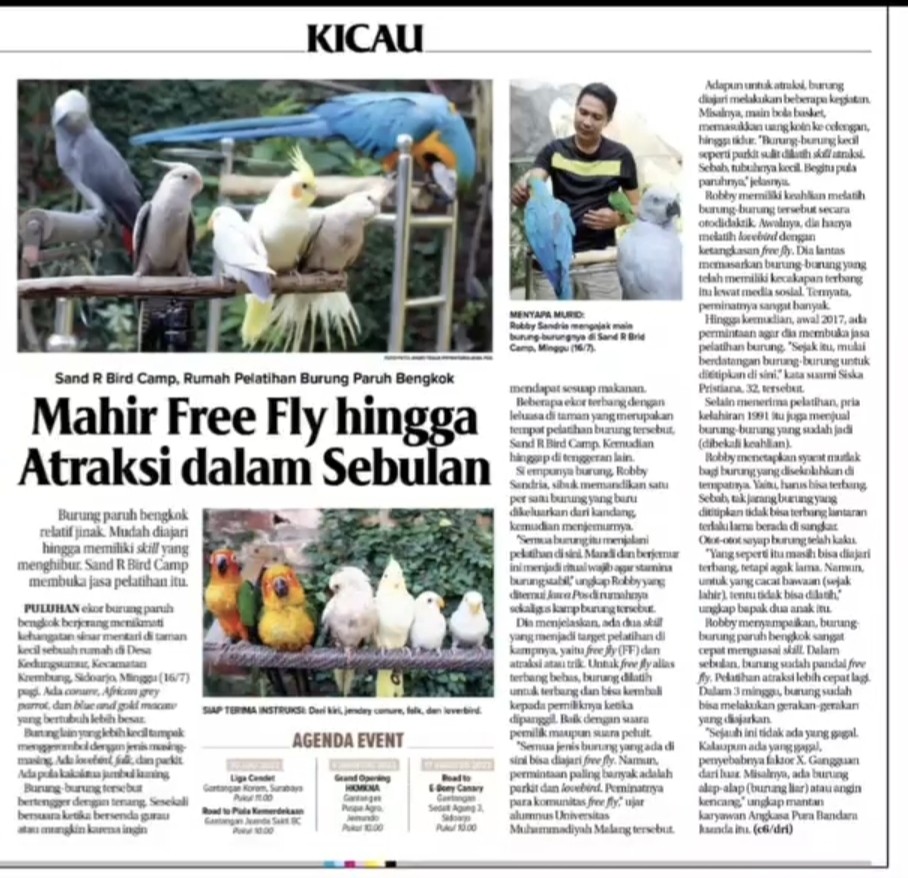Liputan Media Nasional Jawa Pos - SandR Bird Camp