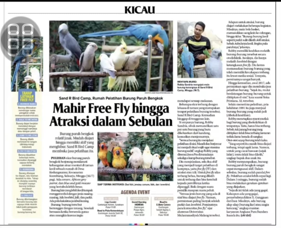 Liputan Jawa Pos - Mahir Free Fly SandR Bird Camp