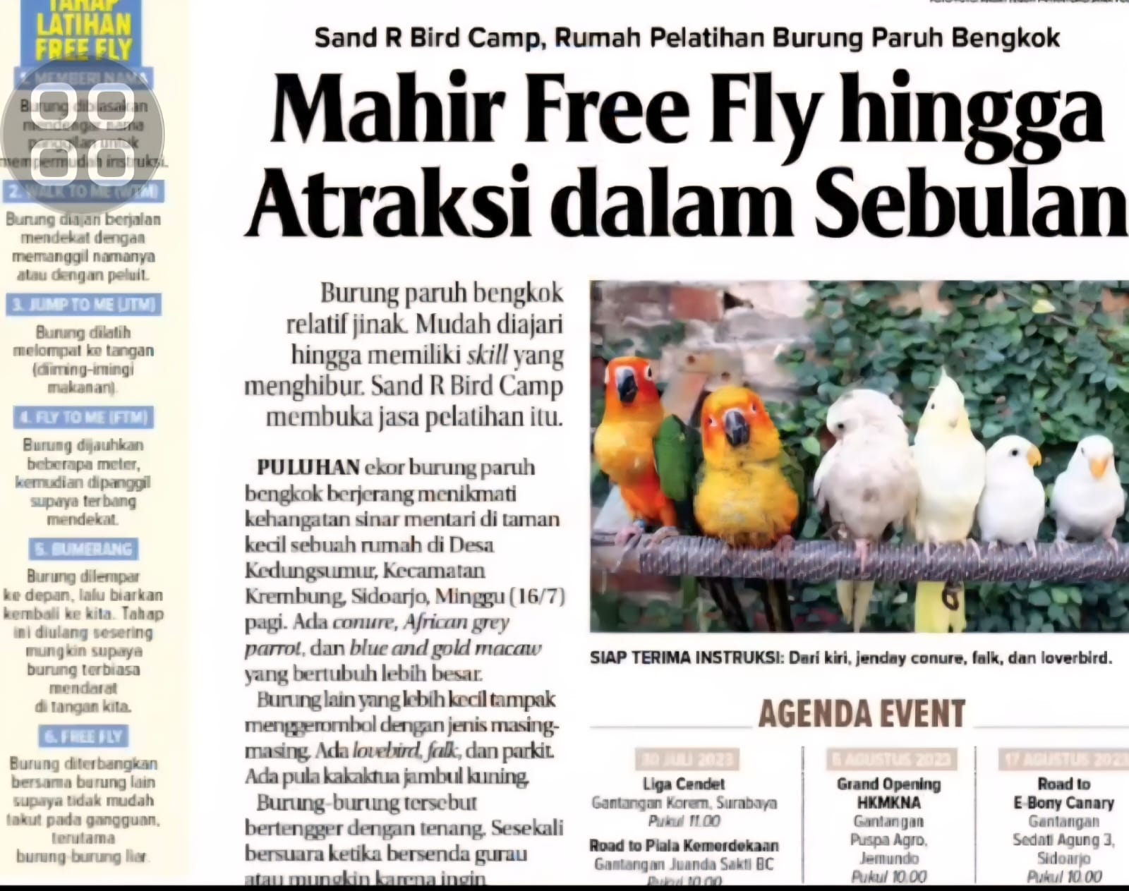 Dokumentasi Pelatihan Burung - SandR Bird Camp